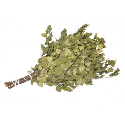 Brezove vejice za savno