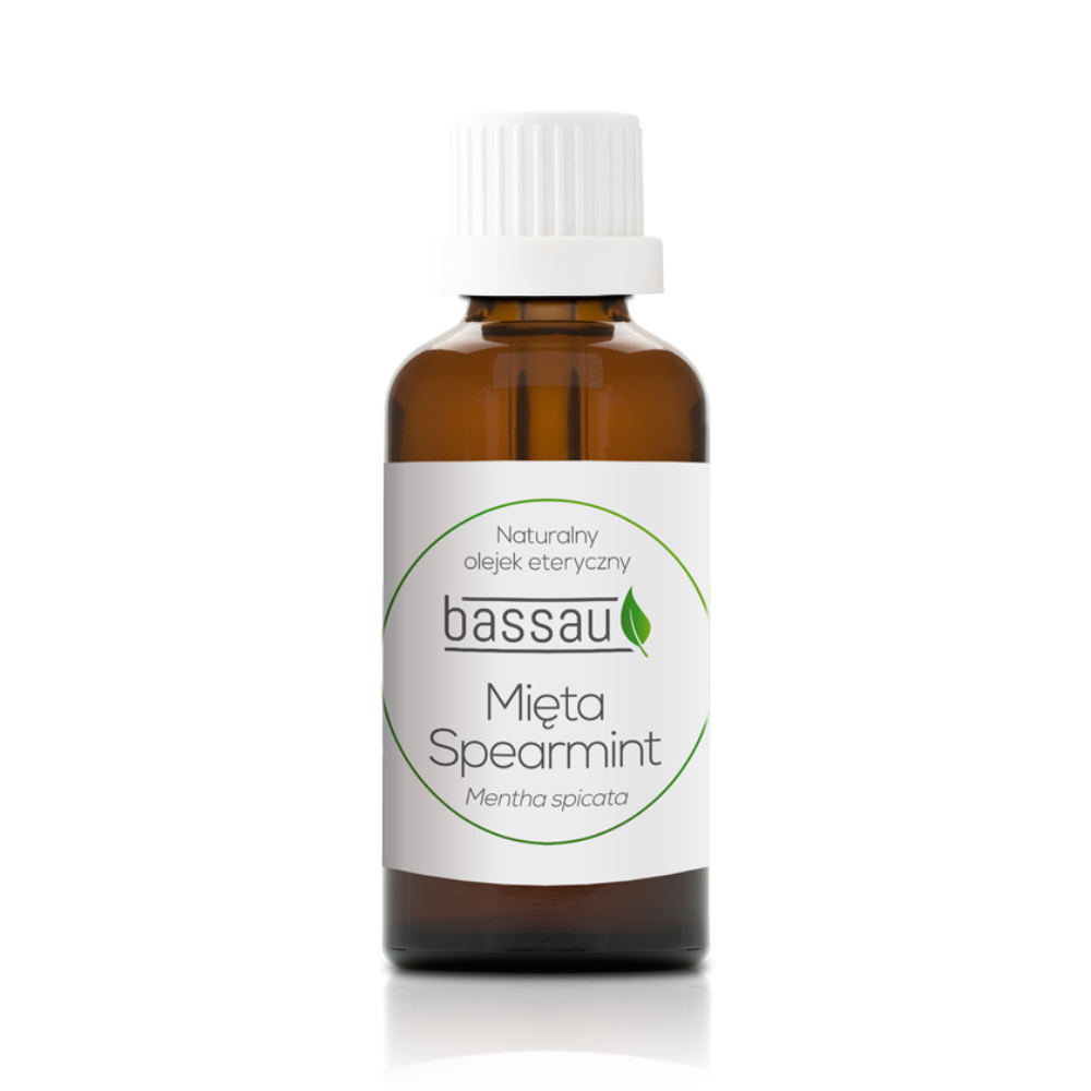 Zelena meta - Spearmint